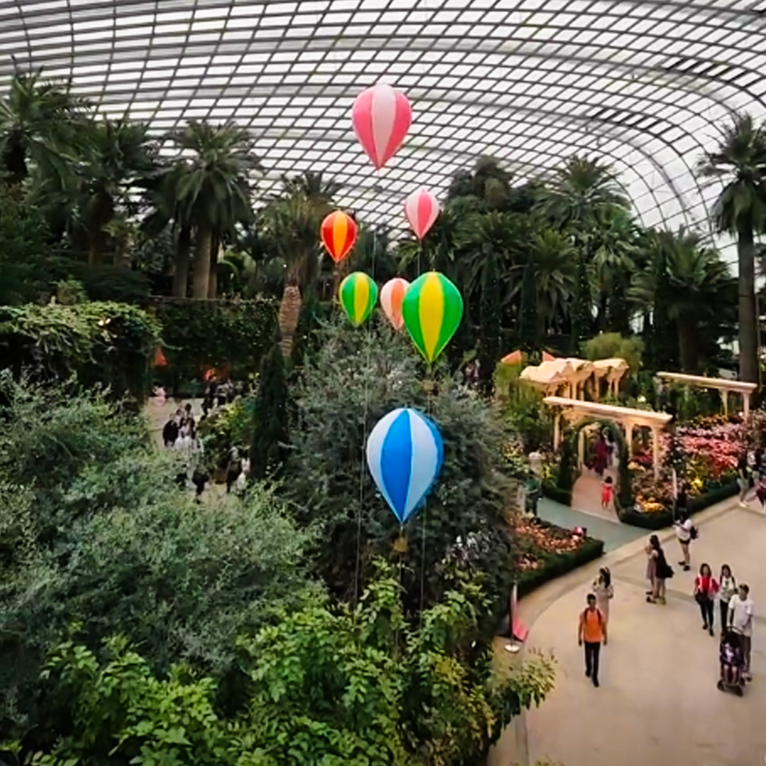 Events at Gardens By The Bay!  Check out their displays of Roses and Orchids of Angkor Wat  Families with kids may join the Children's Festival featuring Disney and Pixar's Inside Out 2!
