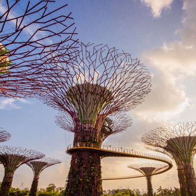 Gardens by the Bay