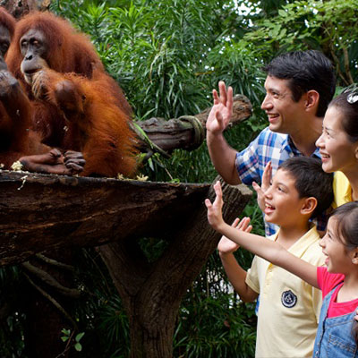 Singapore Zoo