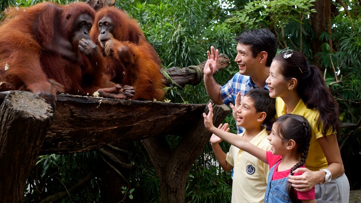 Singapore Zoo