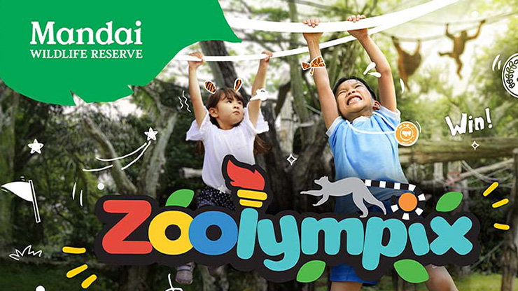 Zoolympix (25 May - 25 Aug)